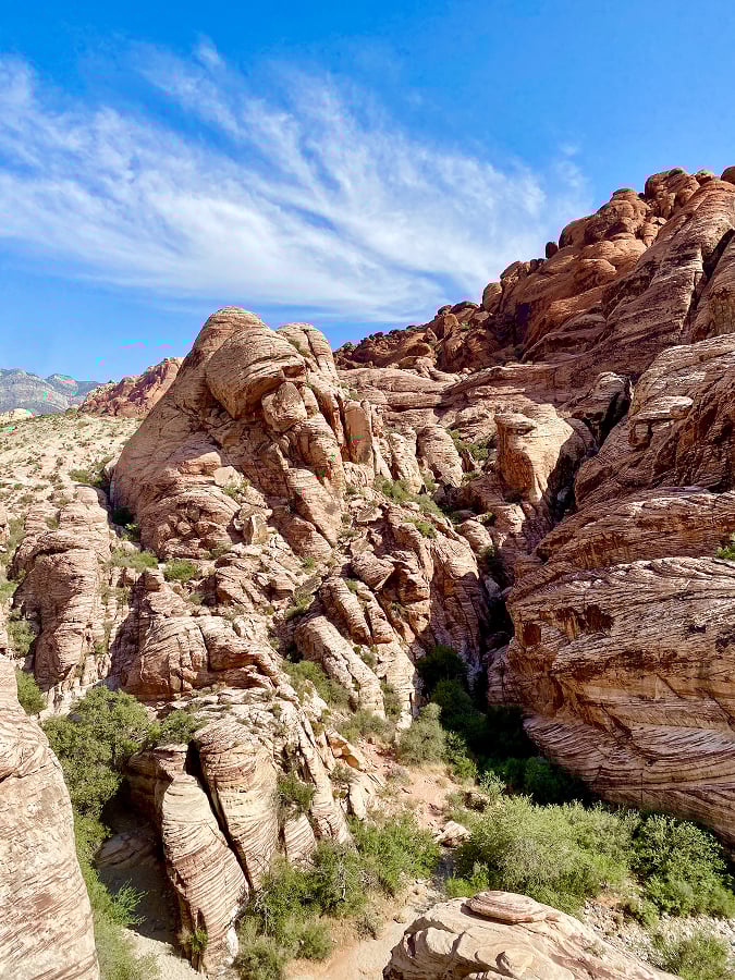 Desert landscape with mountains and greenery